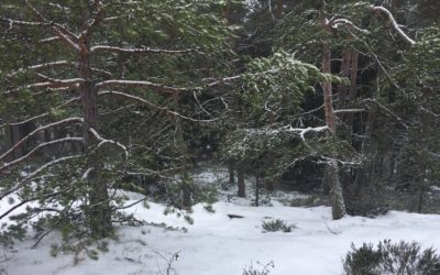 What on earth makes Finnish schools SO good?