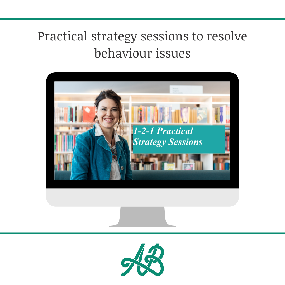 Practical strategy sessions to resolve behaviour issues