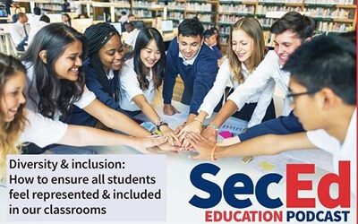 Diversity and Inclusion in the Classroom