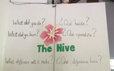 What is The Hive?