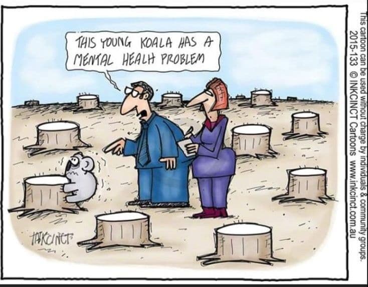 A cartoon showing lots of tree stumps and no trees, a koala is trying to climb a tree stump and two people in business attire are pointing at it and saying "This young Koala has a mental health problem"