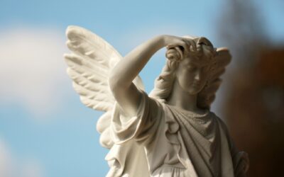 The Dangers of Martyr Syndrome in Education